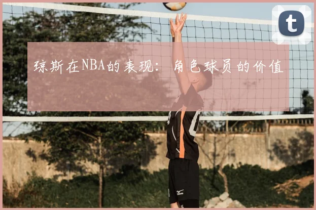 琼斯在NBA的表现：角色球员的价值