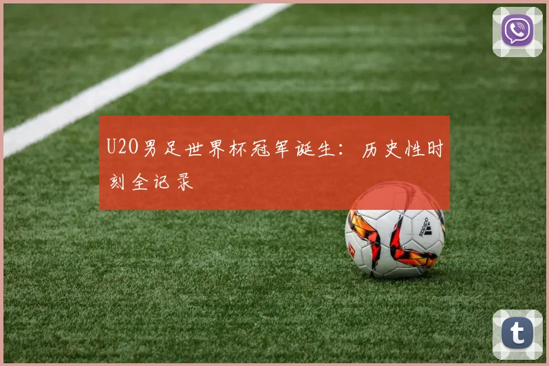 U2O男足世界杯冠军诞生:历史性时刻全记录