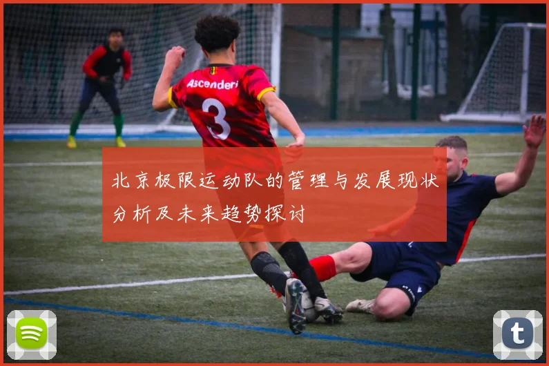 北京极限运动队的管理与发展现状分析及未来趋势探讨