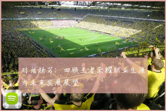 对话杨芳：回顾王者荣耀职业生涯与未来发展展望