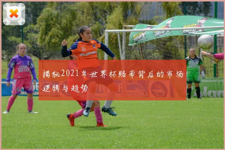 揭秘2021年世界杯赔率背后的市场逻辑与趋势