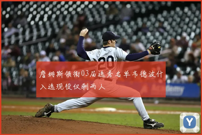 詹姆斯领衔03届选秀名单韦德波什入选现役仅剩两人