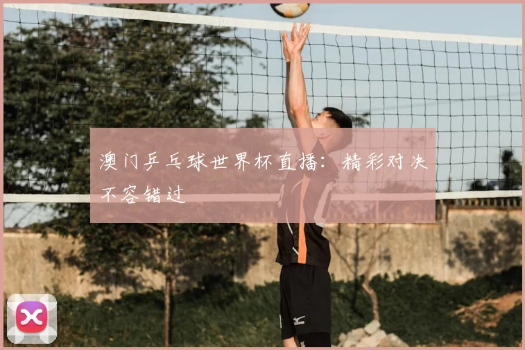 澳门乒乓球世界杯直播:精彩对决不容错过