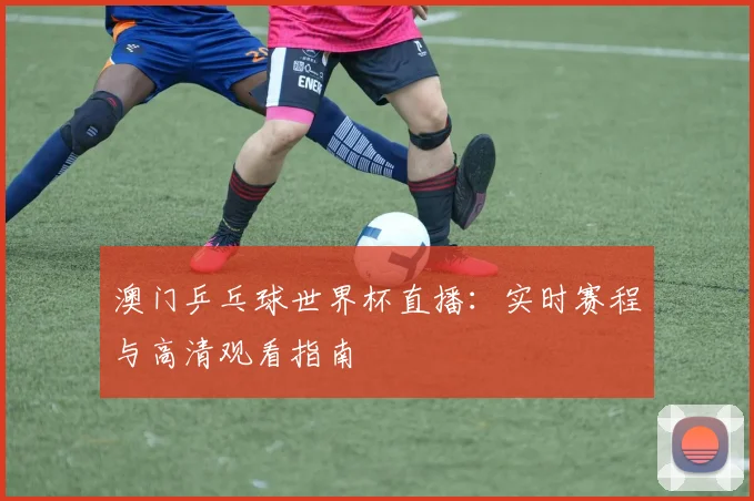 澳门乒乓球世界杯直播:实时赛程与高清观看指南
