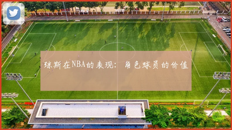 琼斯在NBA的表现:角色球员的价值