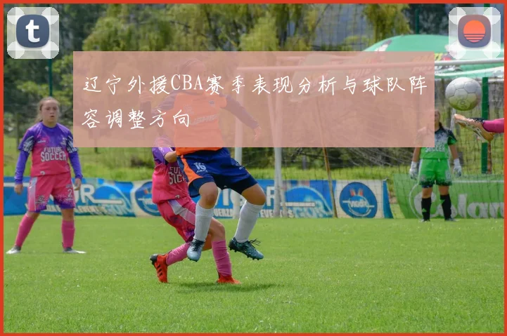 辽宁外援CBA赛季表现分析与球队阵容调整方向
